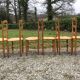 6 vintage mulched oak chairs