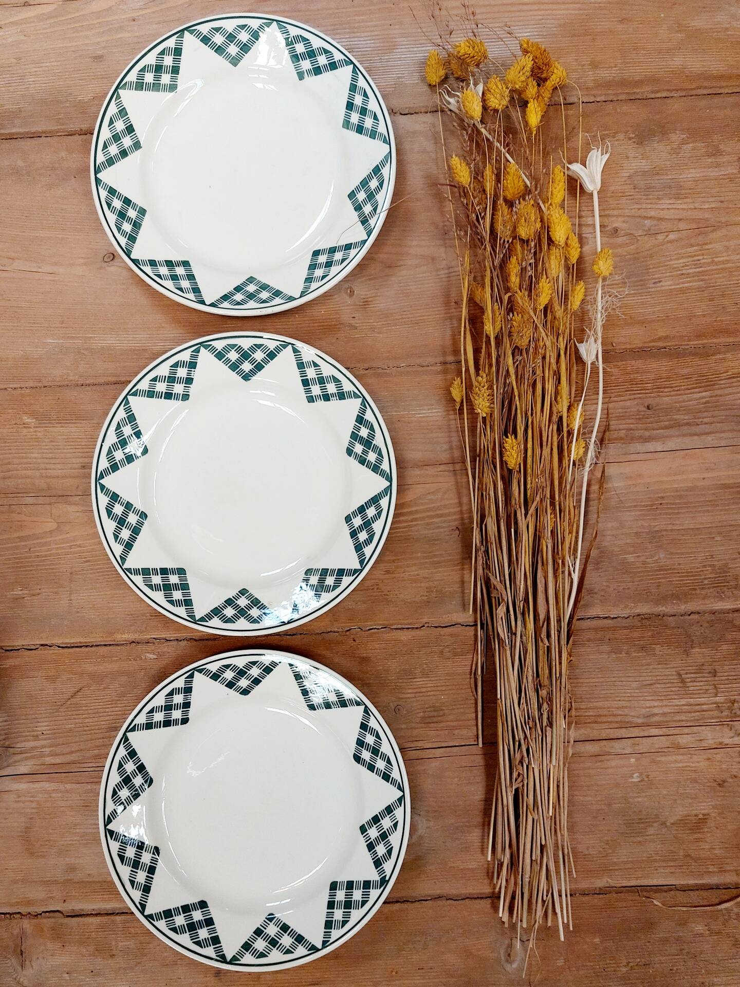 3 assiettes plates terre de fer - Saint Amand