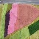 Colorful Beni Ourain rug 150/250