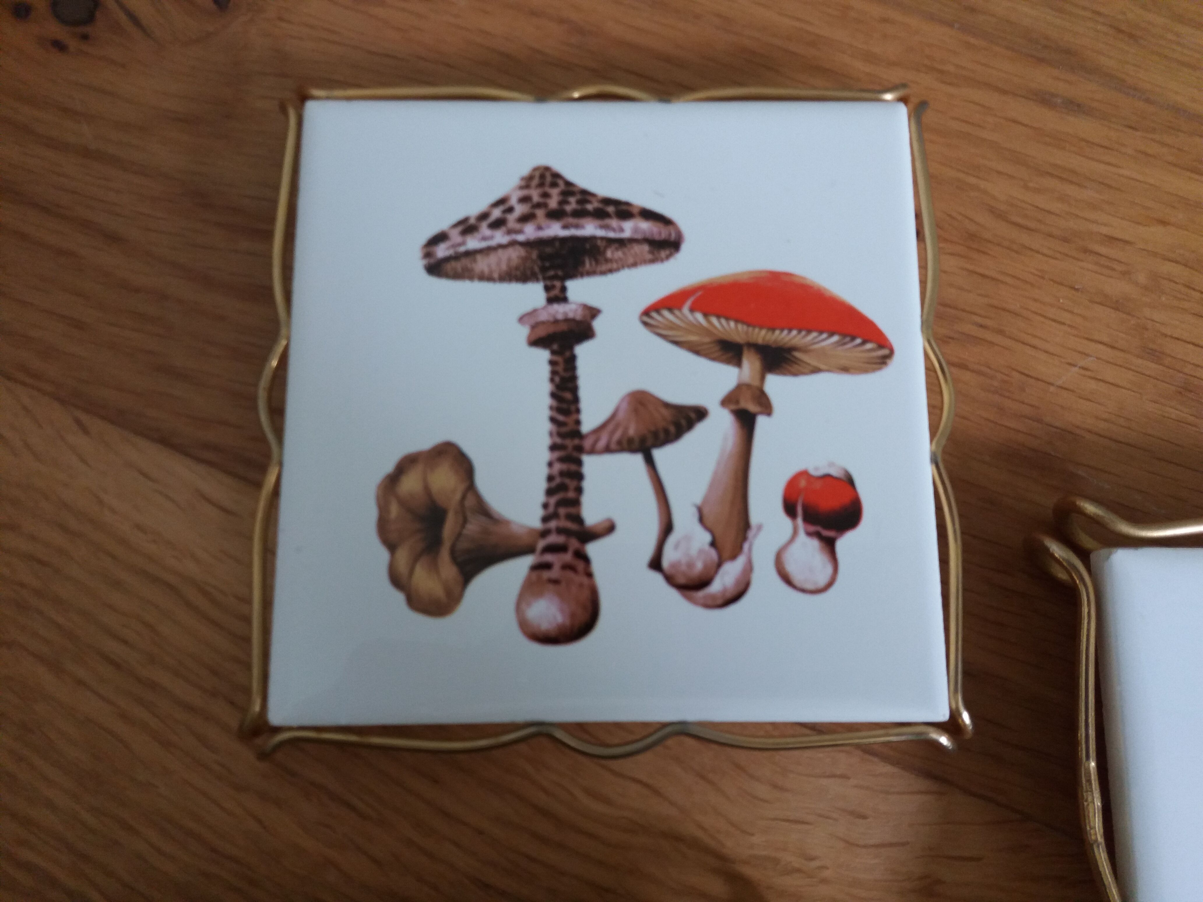 Underside faience of Gien decoration mushrooms