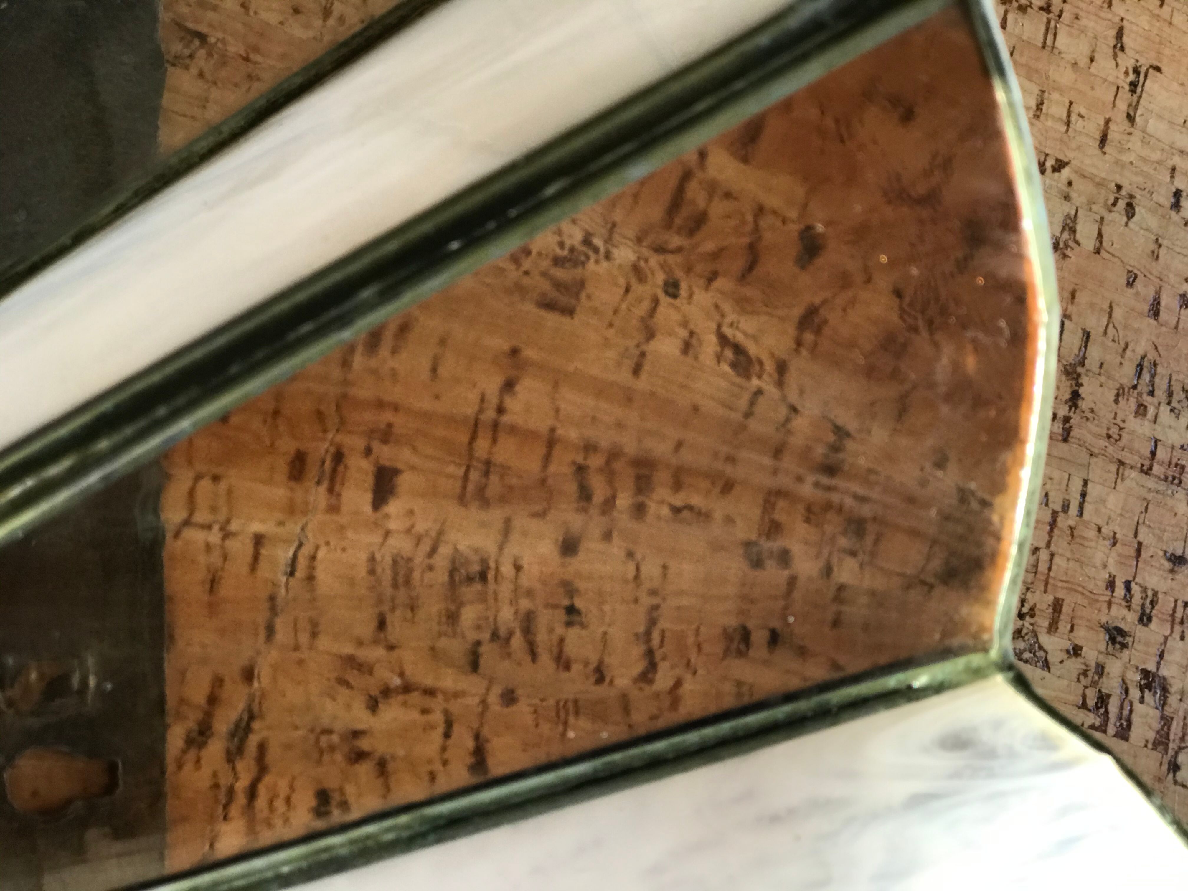 Wall light  glass fan