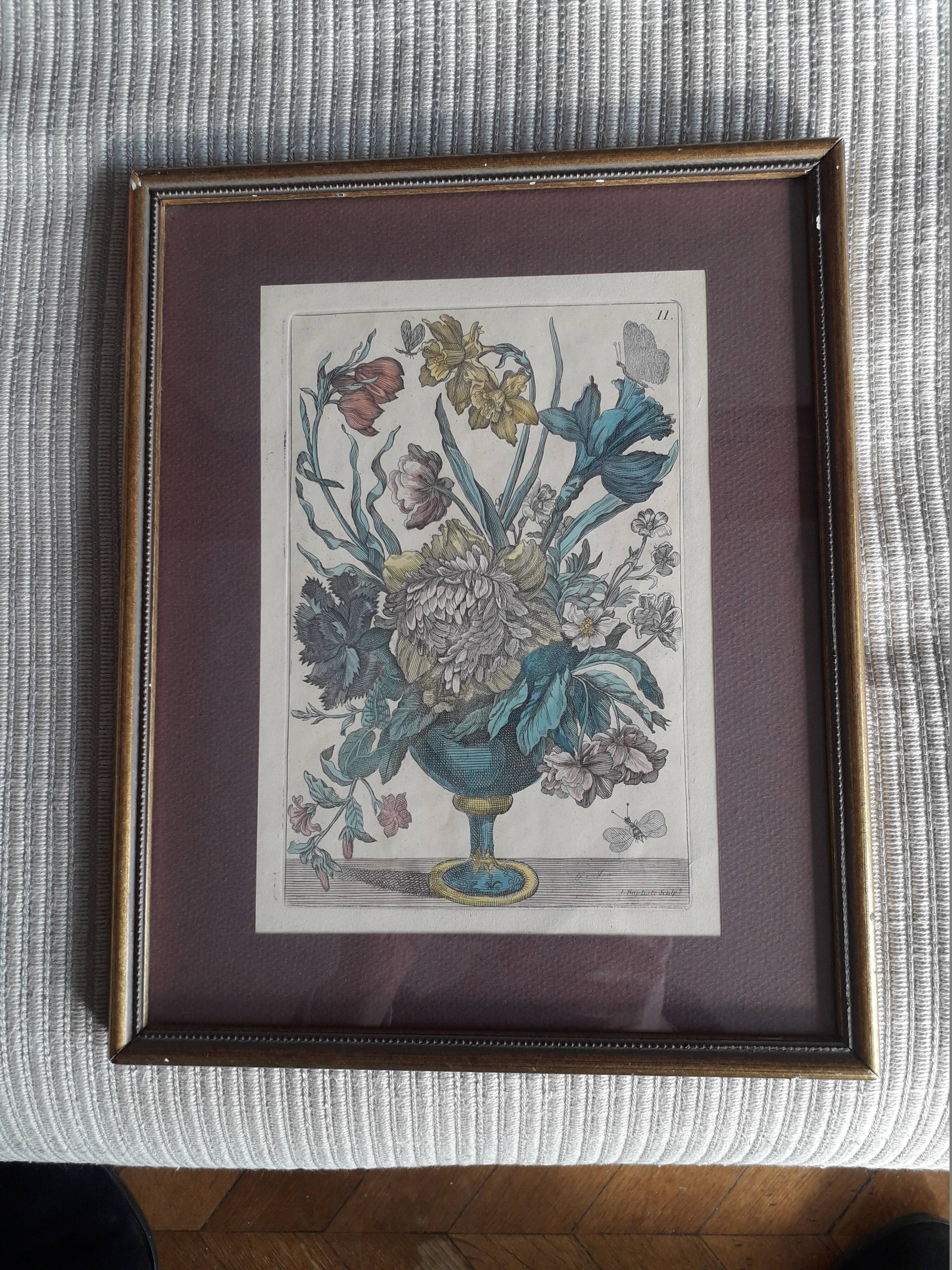 Ancient botanical engraving