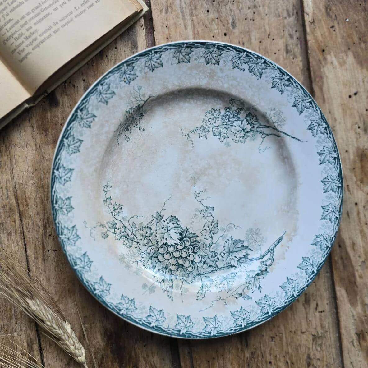 Plate plate model Grape