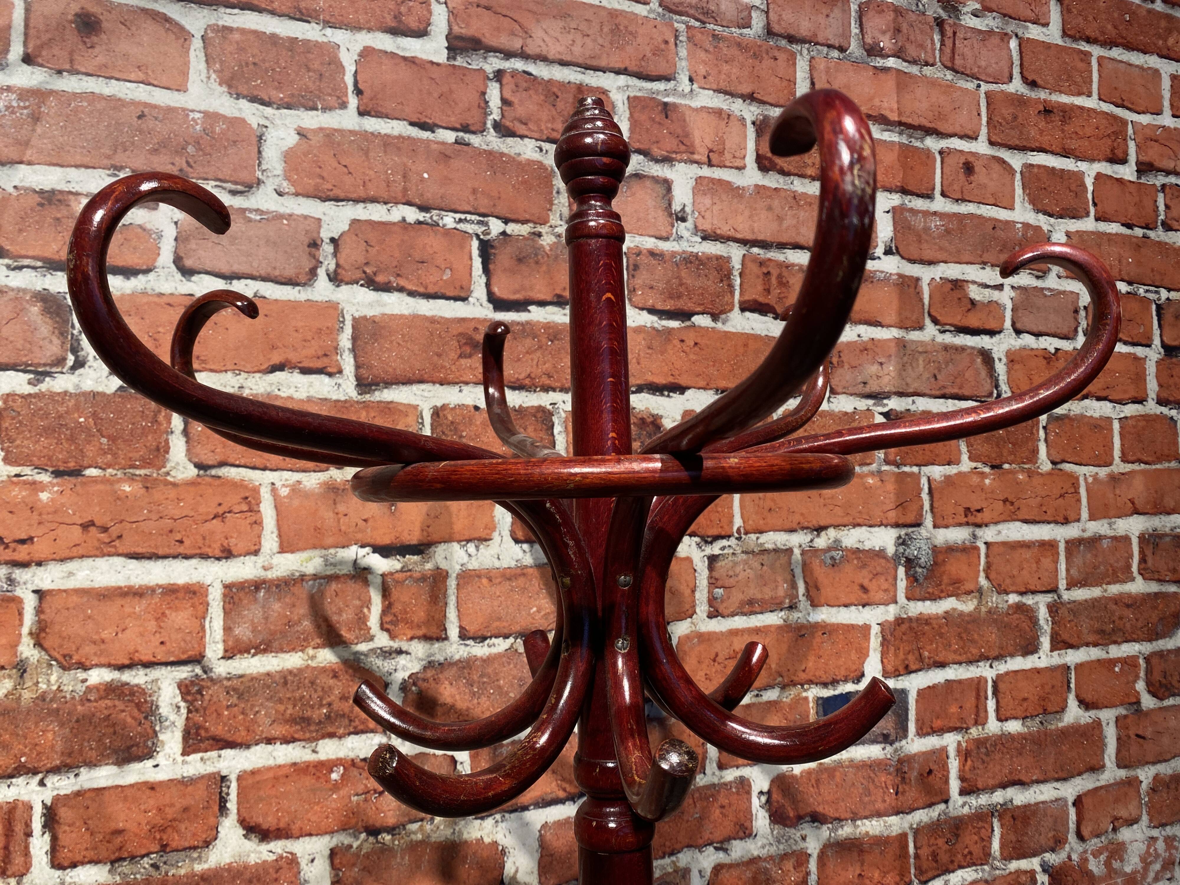 Wooden parrot coat rack