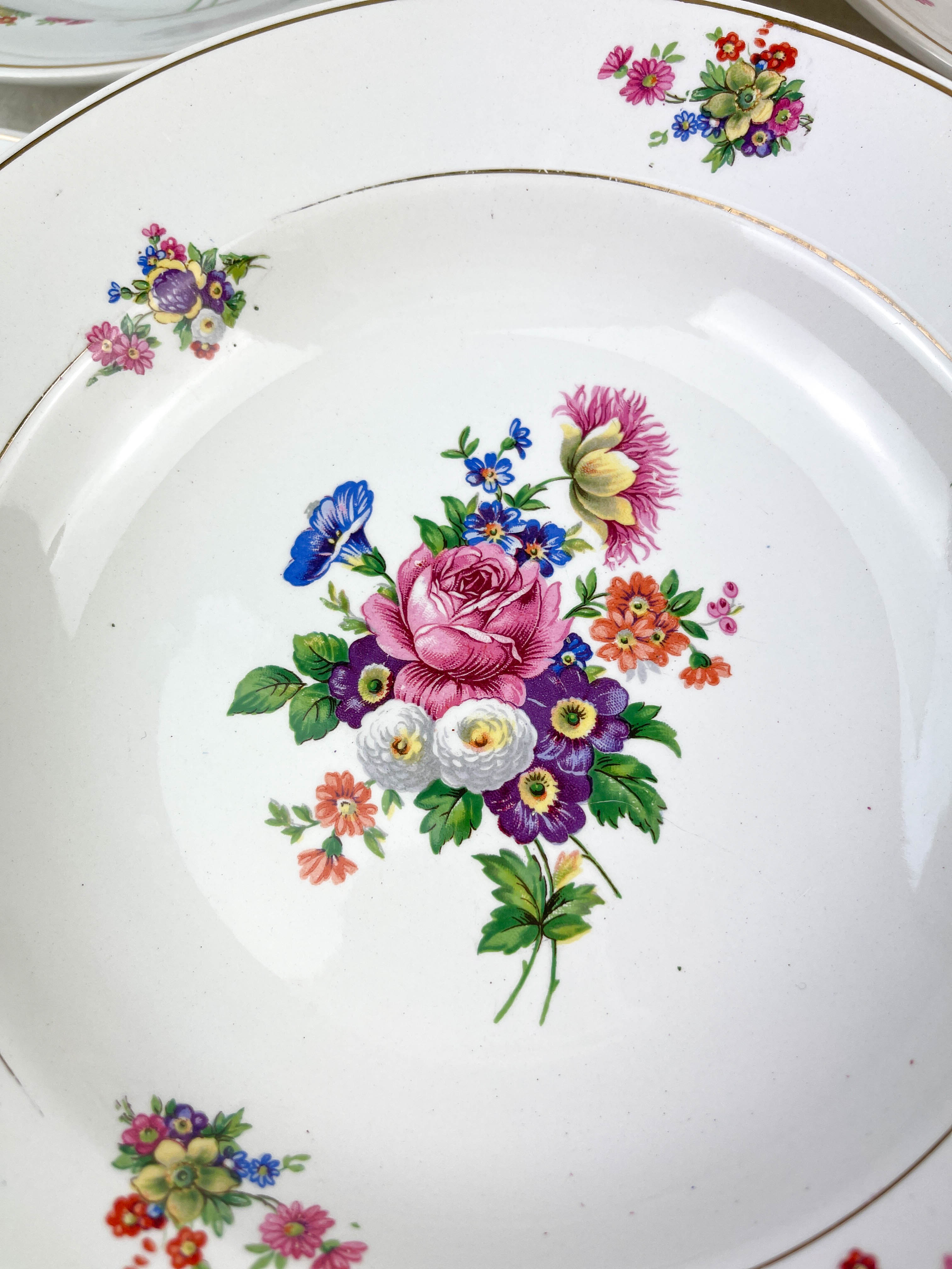6 hollow plates iron earth salins model "anny" floral pattern