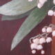 Peinture à l'huile XX ème , Bouquet printanier de Muguet , signé ANDRE DANTY 1966