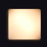 Iguzzini 5242 wall lamp / ceiling lamp