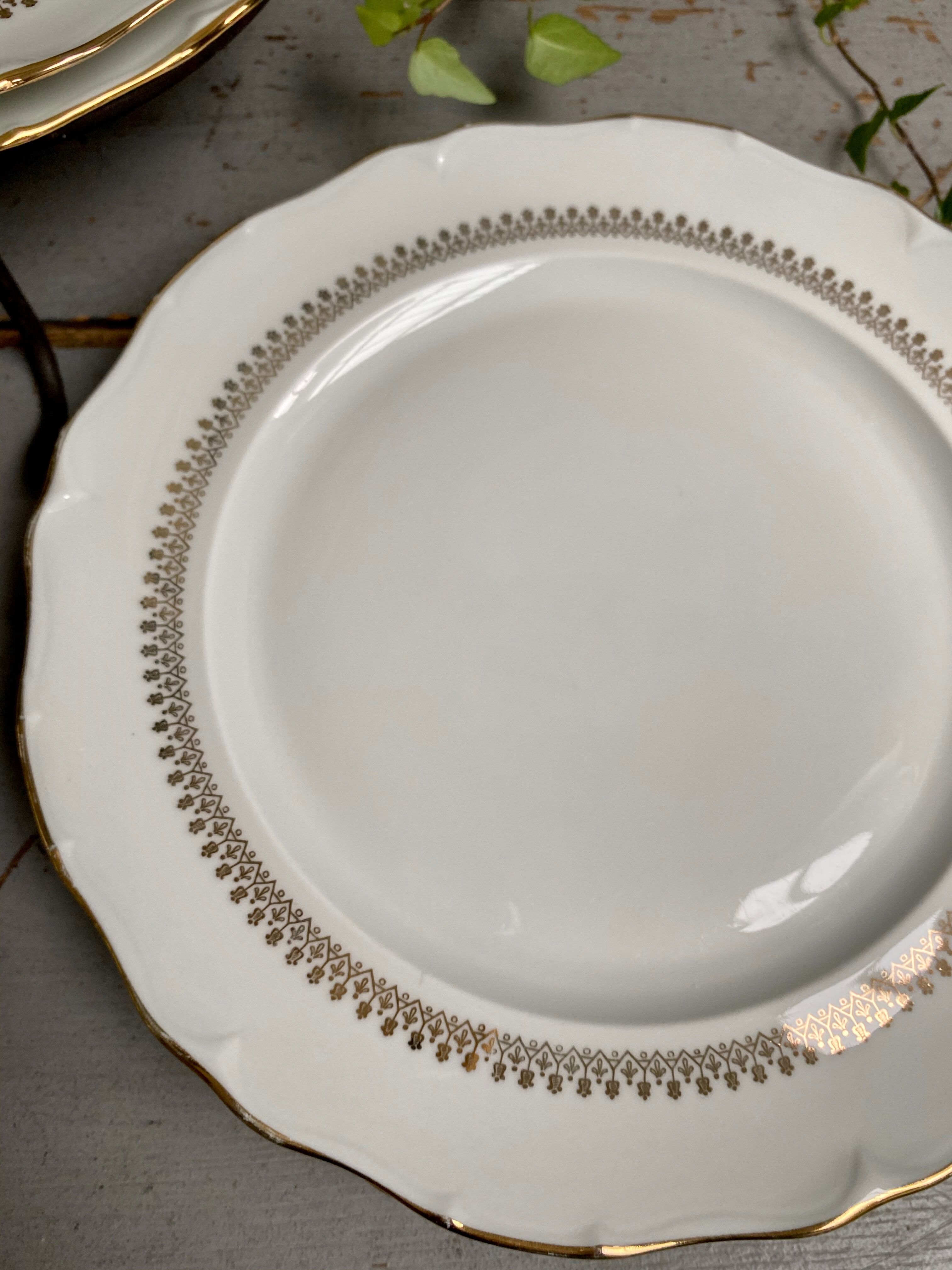 Flat plates in Sologne porcelain