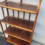 Rattan shelf