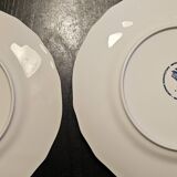 Set of 11 Villeroy and Boch Bouquet model dessert plates