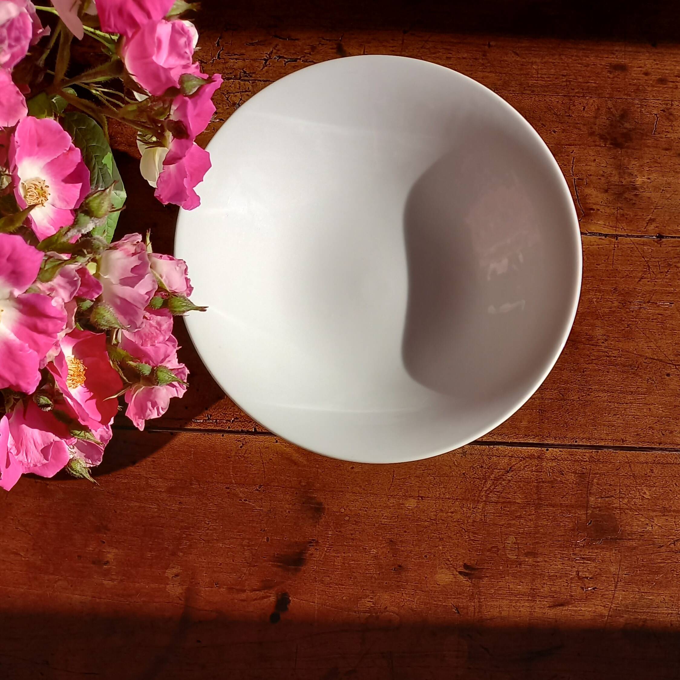 Small white porcelain fruit cup