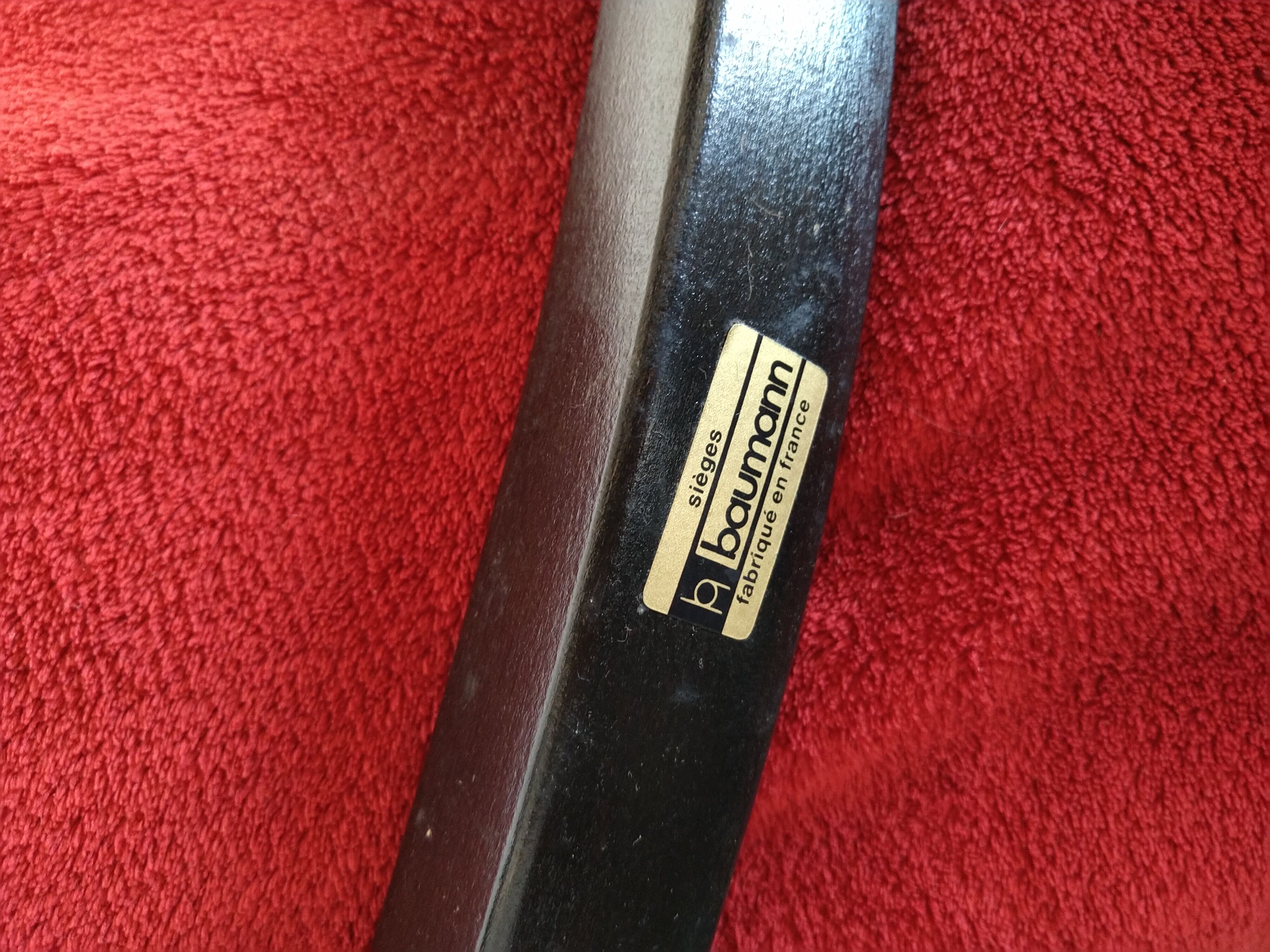 Baumann parrot coat holder