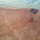 Cork oak bark dish