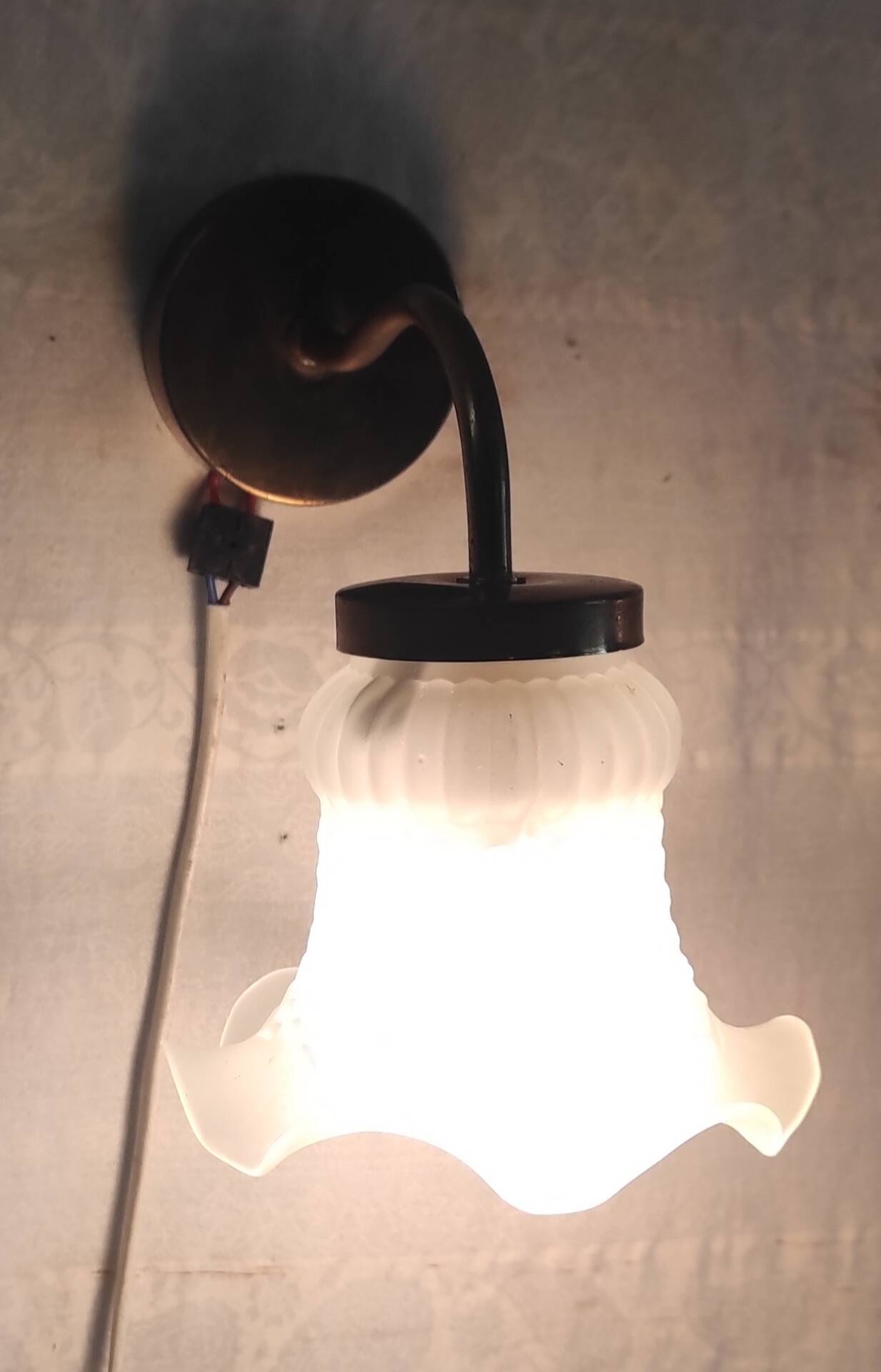 Swan neck wall lights in brass and glass - mid 20th century.