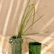 Vase tamegroute vert émaillé