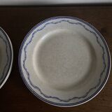 Set of 5 Tournai plates with twig neo-classical design, mid-19th century, ironstone.