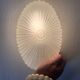 Vintage oval frosted glass ceiling light