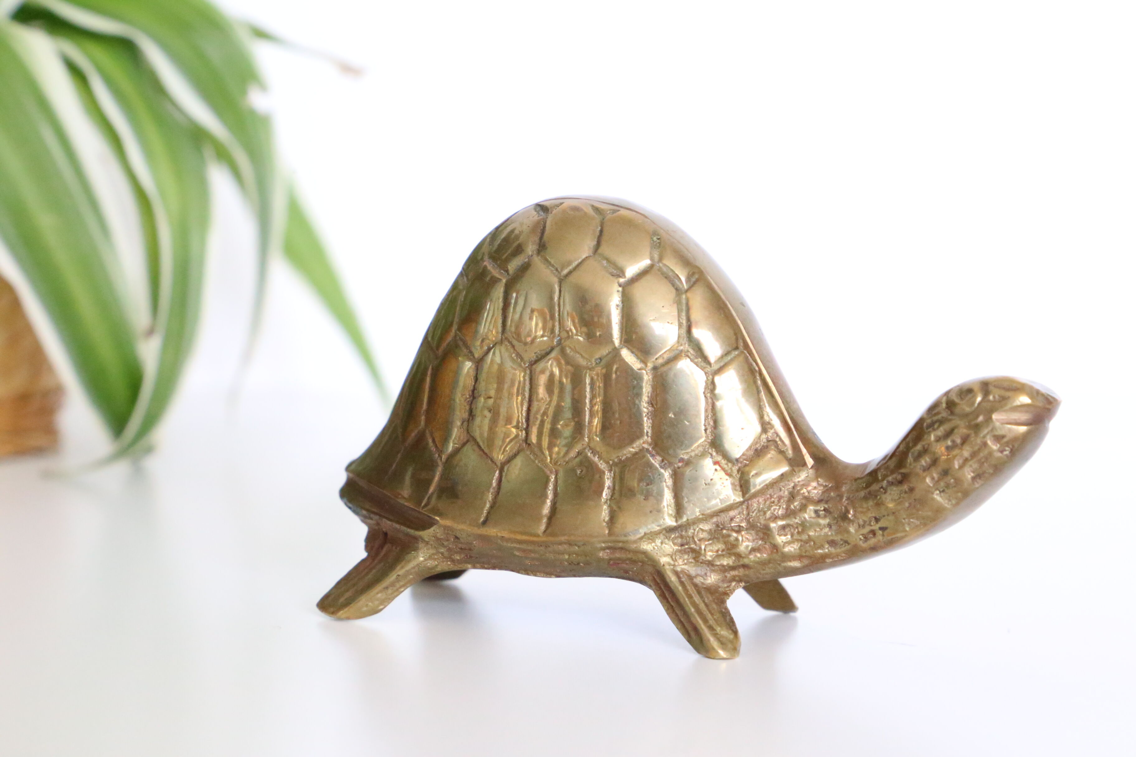 Brass turtle