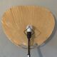 Uchiwa wall light pair by Ingo Maurer