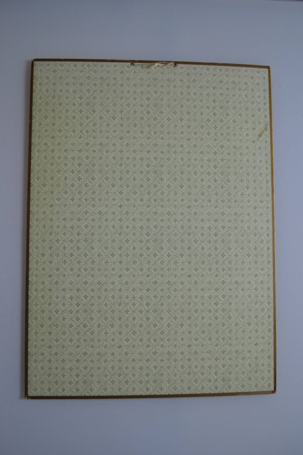 Affiche botanique vintage '' Choux