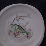 8 assiettes à poisson en porcelaine de Sologne  23 X 23 cm