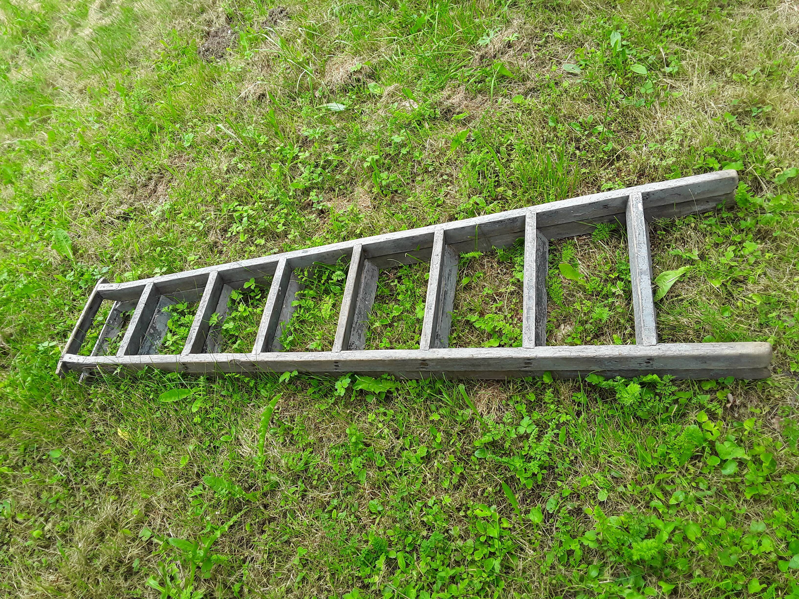 Painter ladder, stepladder