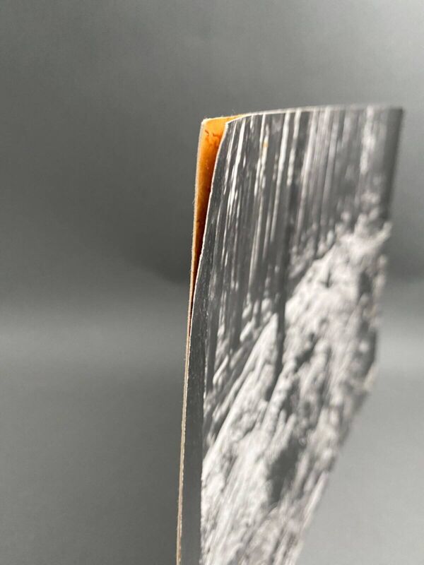 Photo argentique Bernard Darot XXe AFIAP Photo Club Nantais En Forêt