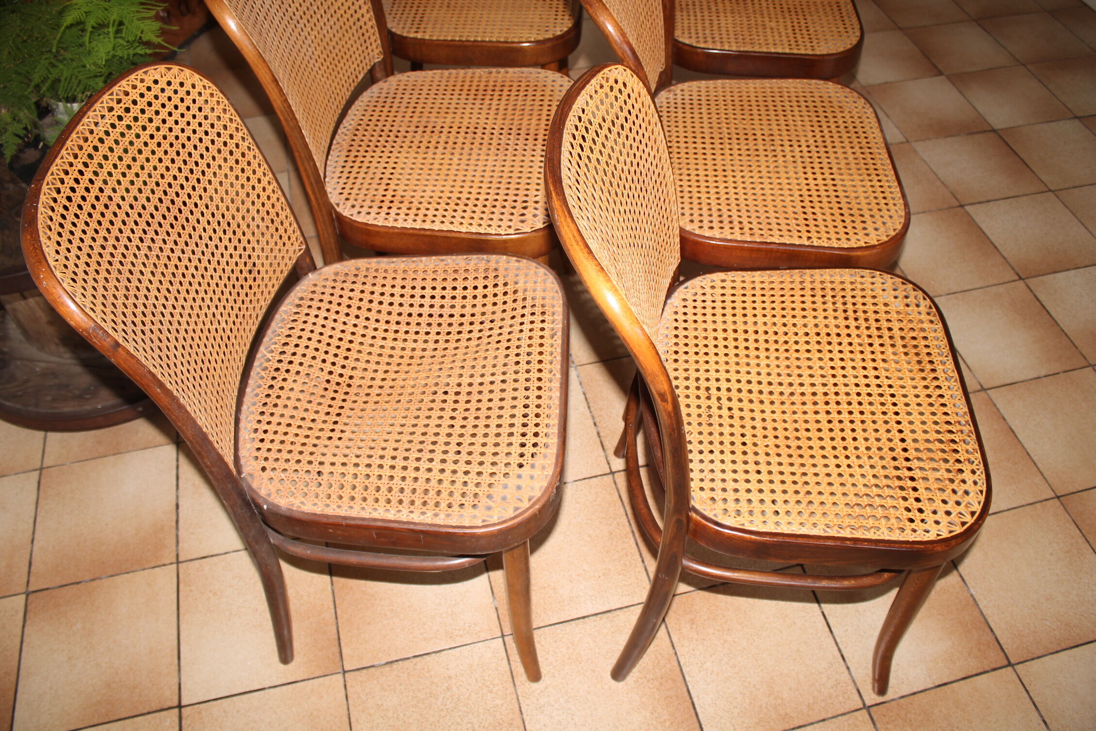 Set of 6 chairs canned drevounia