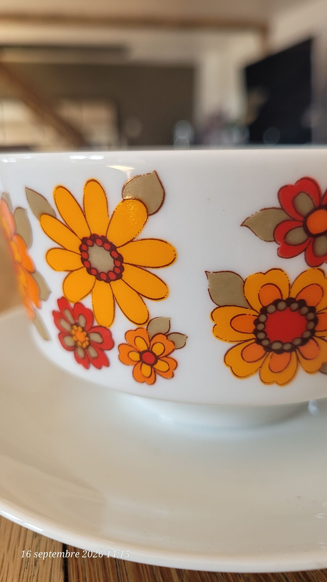 Bol vintage monobloc