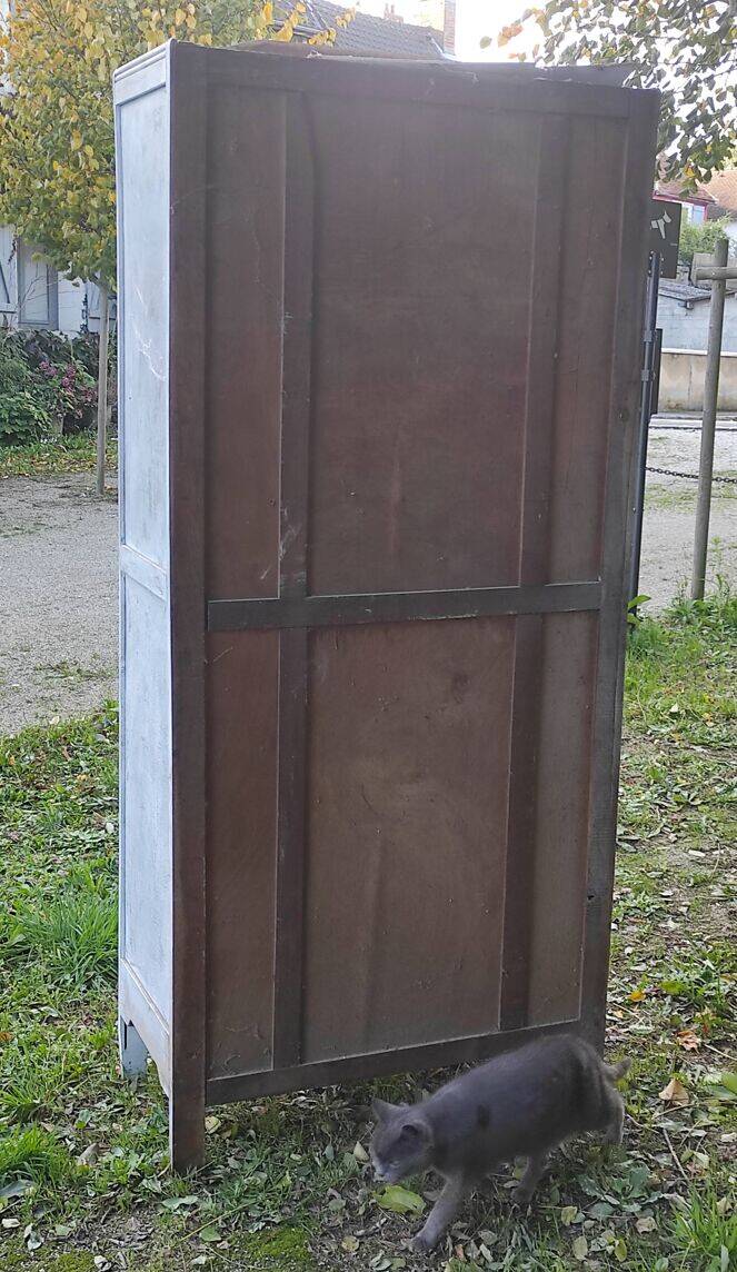 Parisian art deco wardrobe