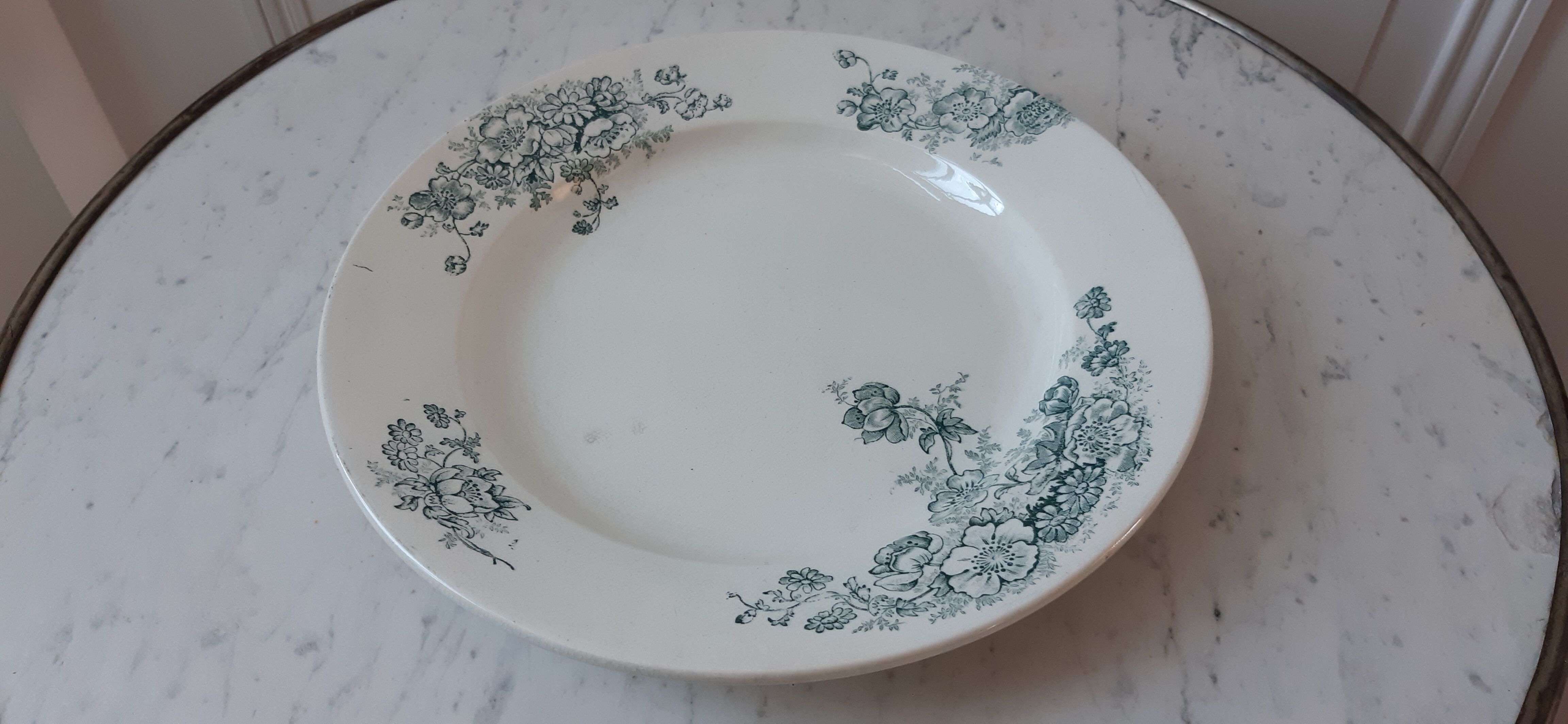 Round plate Iron Earth model Anemone late nineteenth