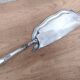 Picks up silver metal crumbs