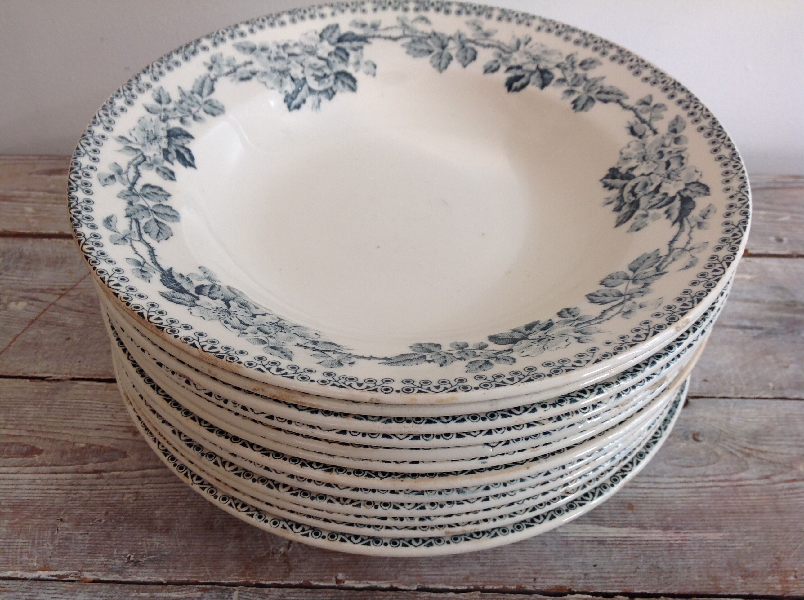 Set of 12 deep terre de fer plates