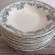 Set of 12 deep terre de fer plates