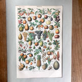 Original vintage fruit board