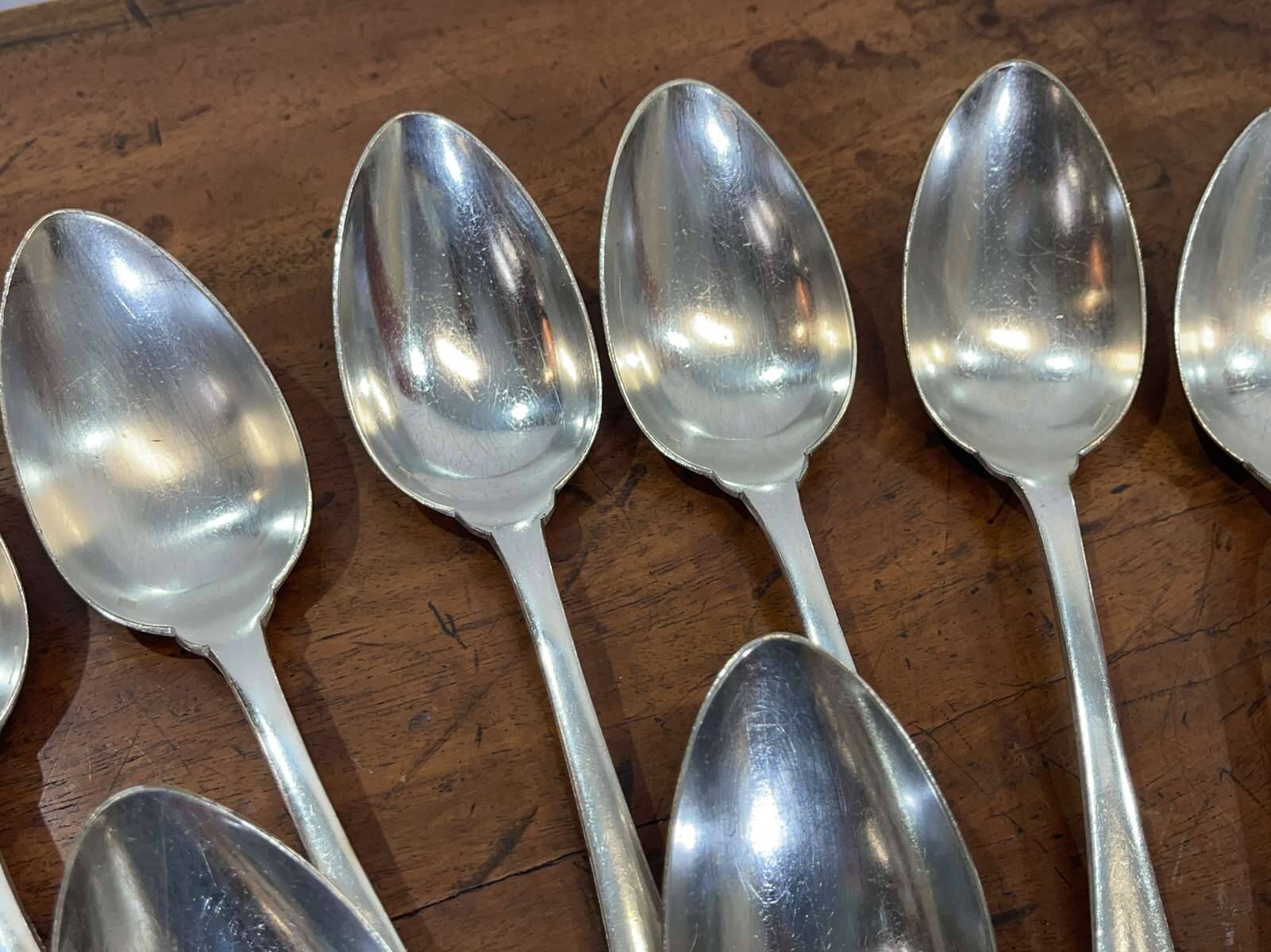 Série de 12 cuillères à glace en métal argenté à décor fe... - 86083697-444