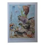 Original lithograph on oceanography