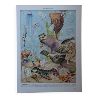 Original lithograph on oceanography