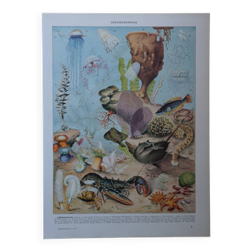 Lithographie originale sur l'océanographie