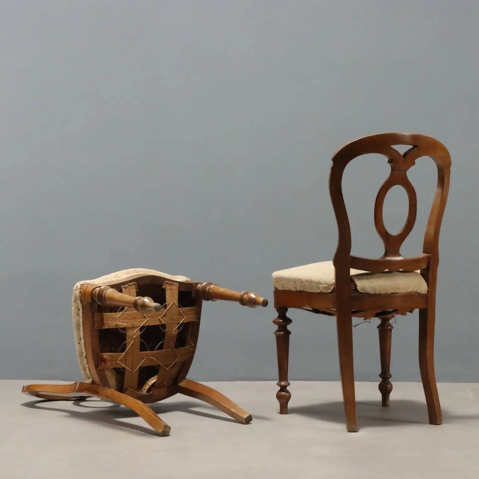 Antique walnut chairs with horsehair upholstery, Italy, 19th century.