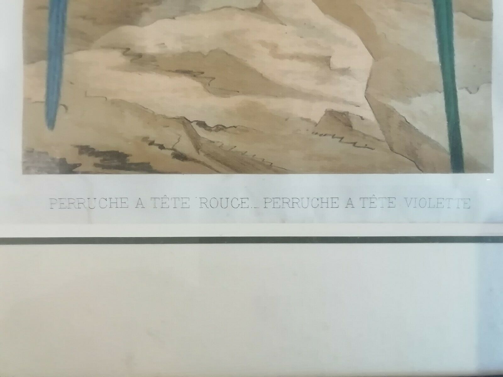 Engraving XIXth