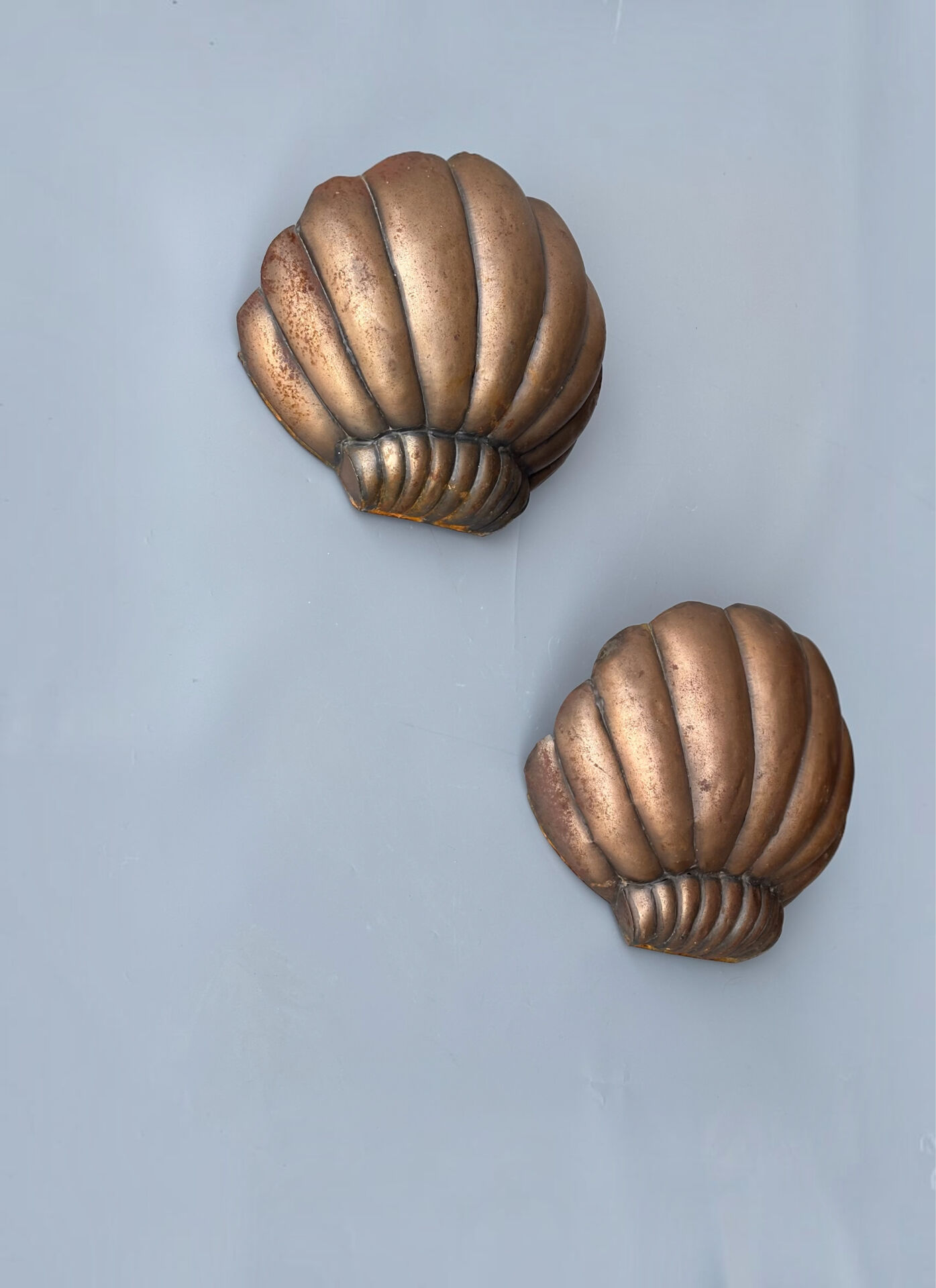 Paire d’appliques coquille Saint-Jacques 1960