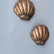 Paire d’appliques coquille Saint-Jacques 1960