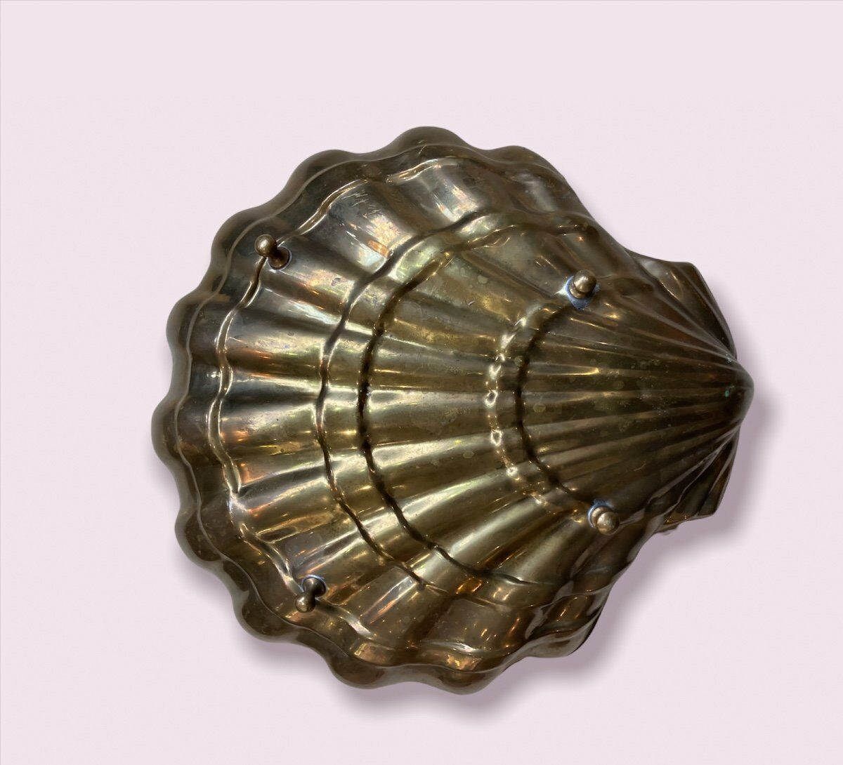 Golden Shell Brass Cup