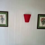 Iris botanical board