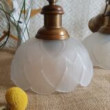 Pair of frosted glass flower pendant lights with vintage wood and brass