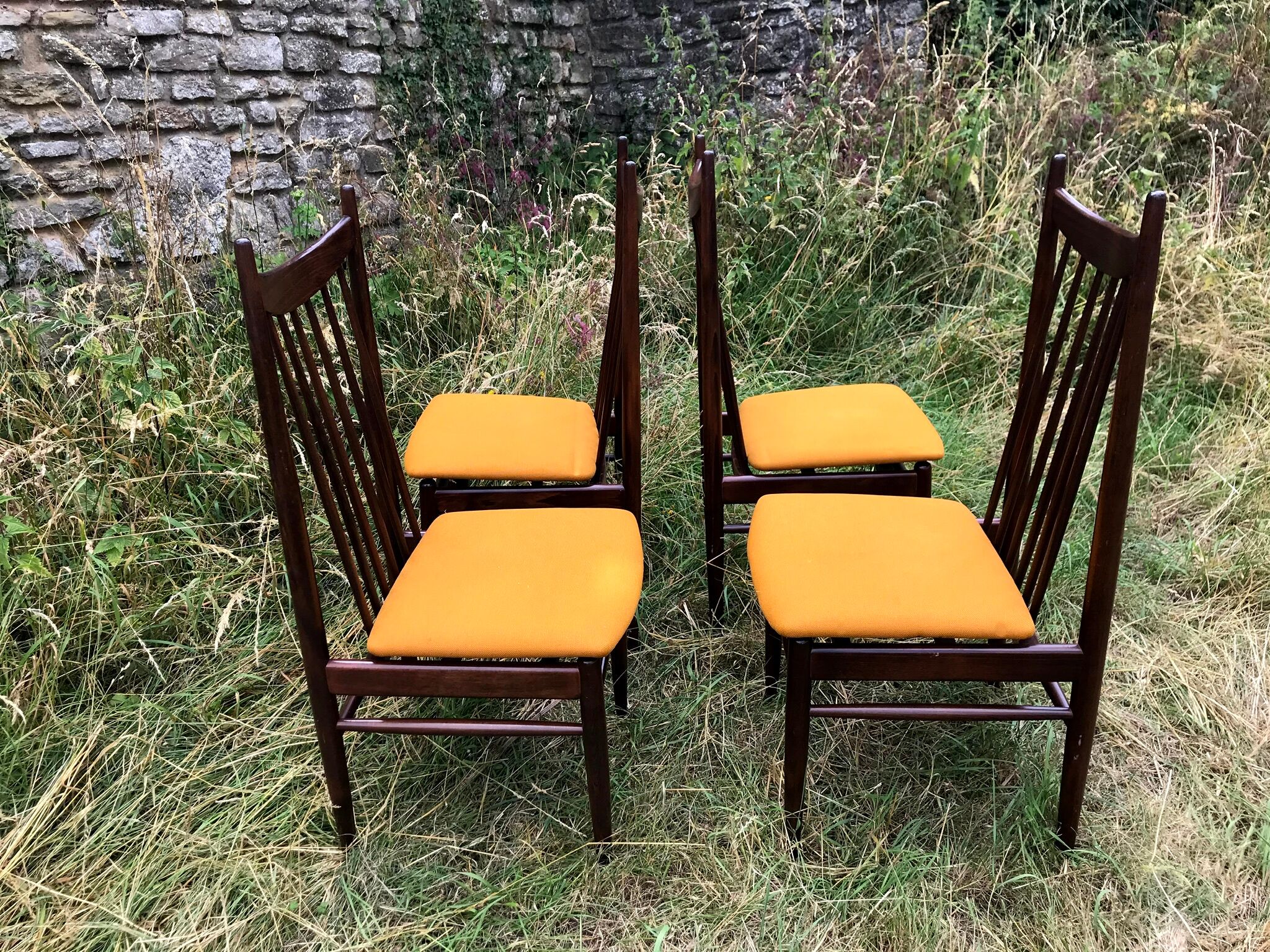 Mahogany chairs top vintage backrest 60s