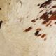Cowhide rug 1970