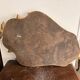 Antique Golden Wall Mirror Wood Rocaille Rococo Louis XV Shell