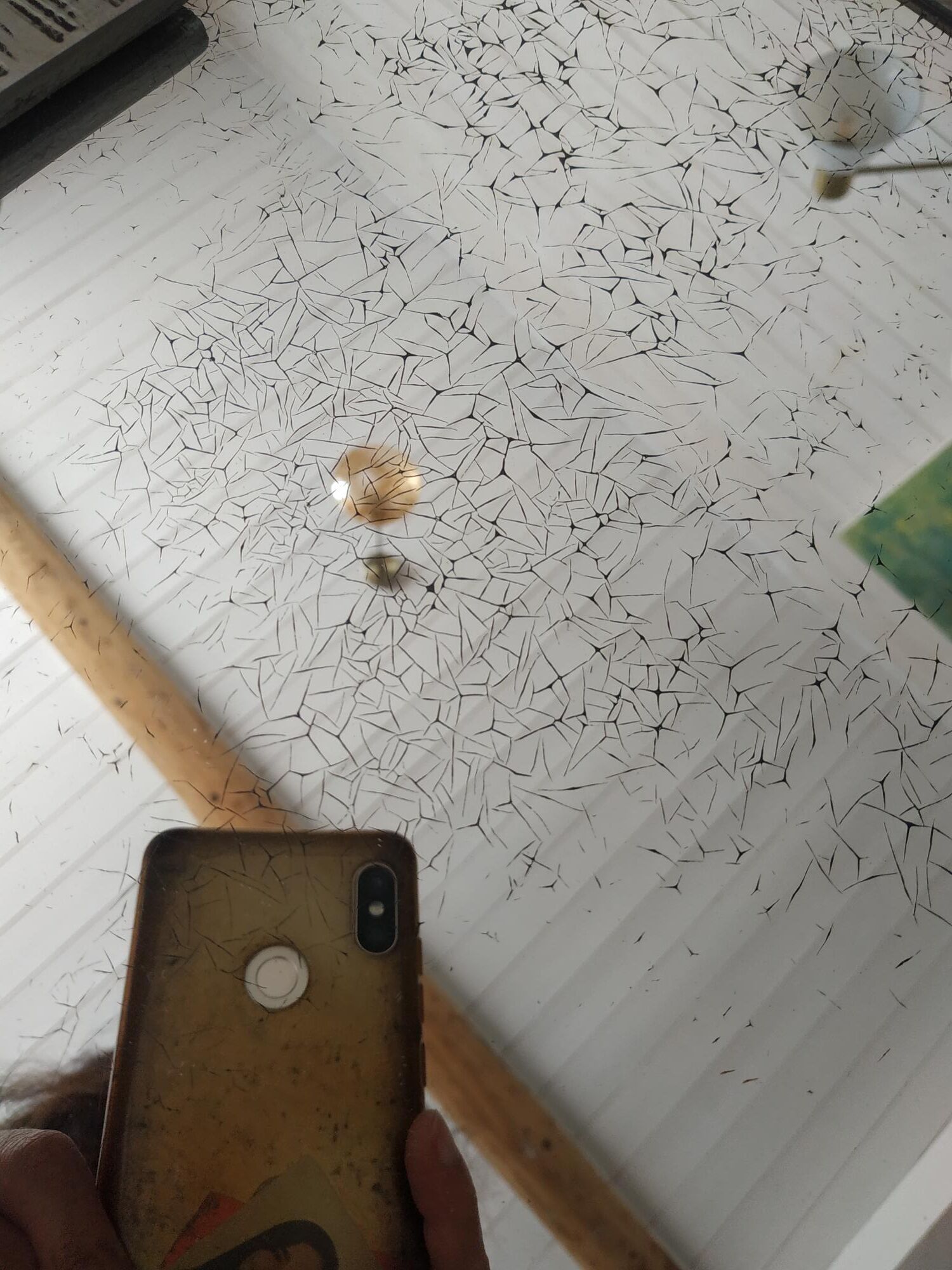 Art Deco silver wood mirror